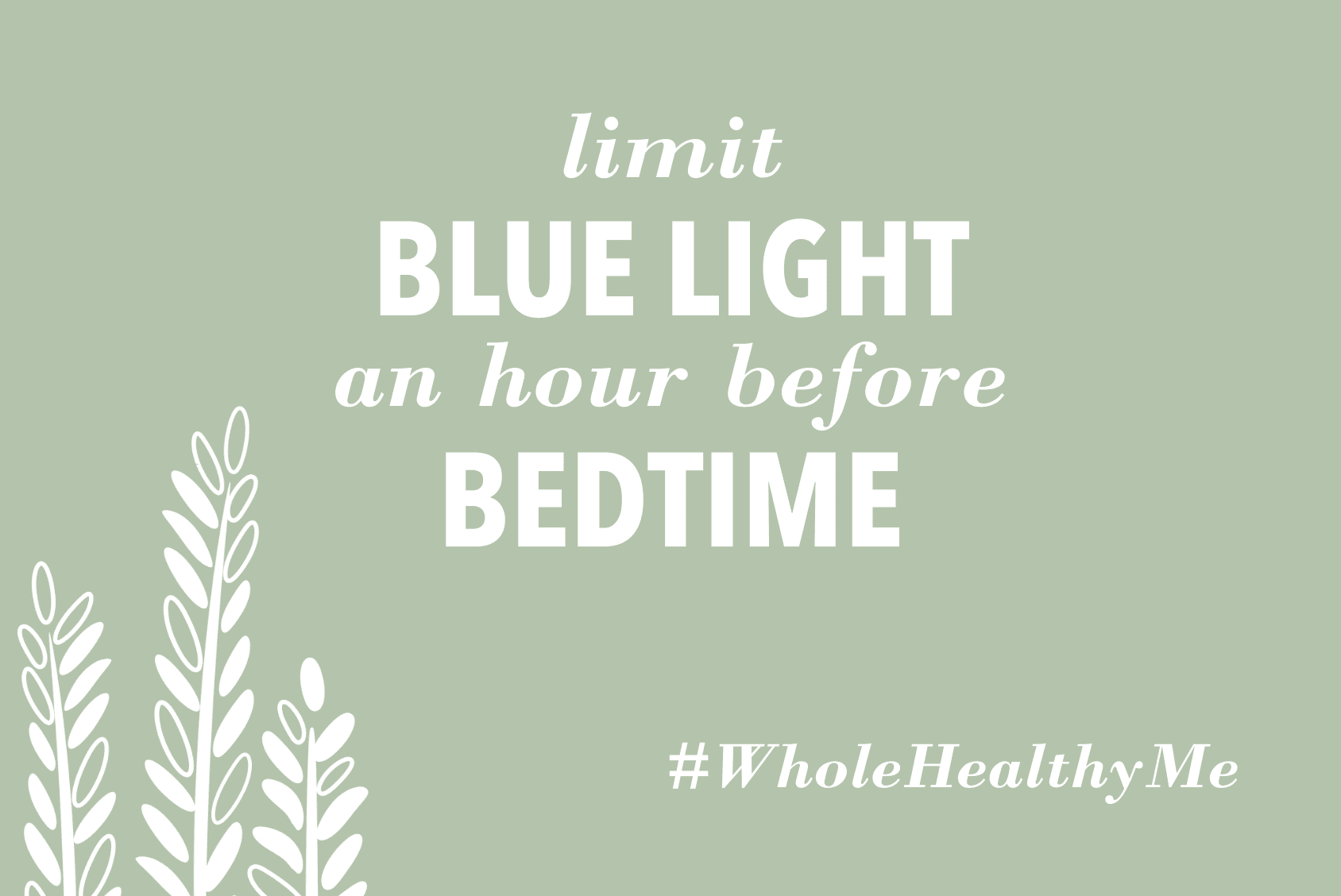 Reduce Blue Light before Bedtime | The Harvest Table