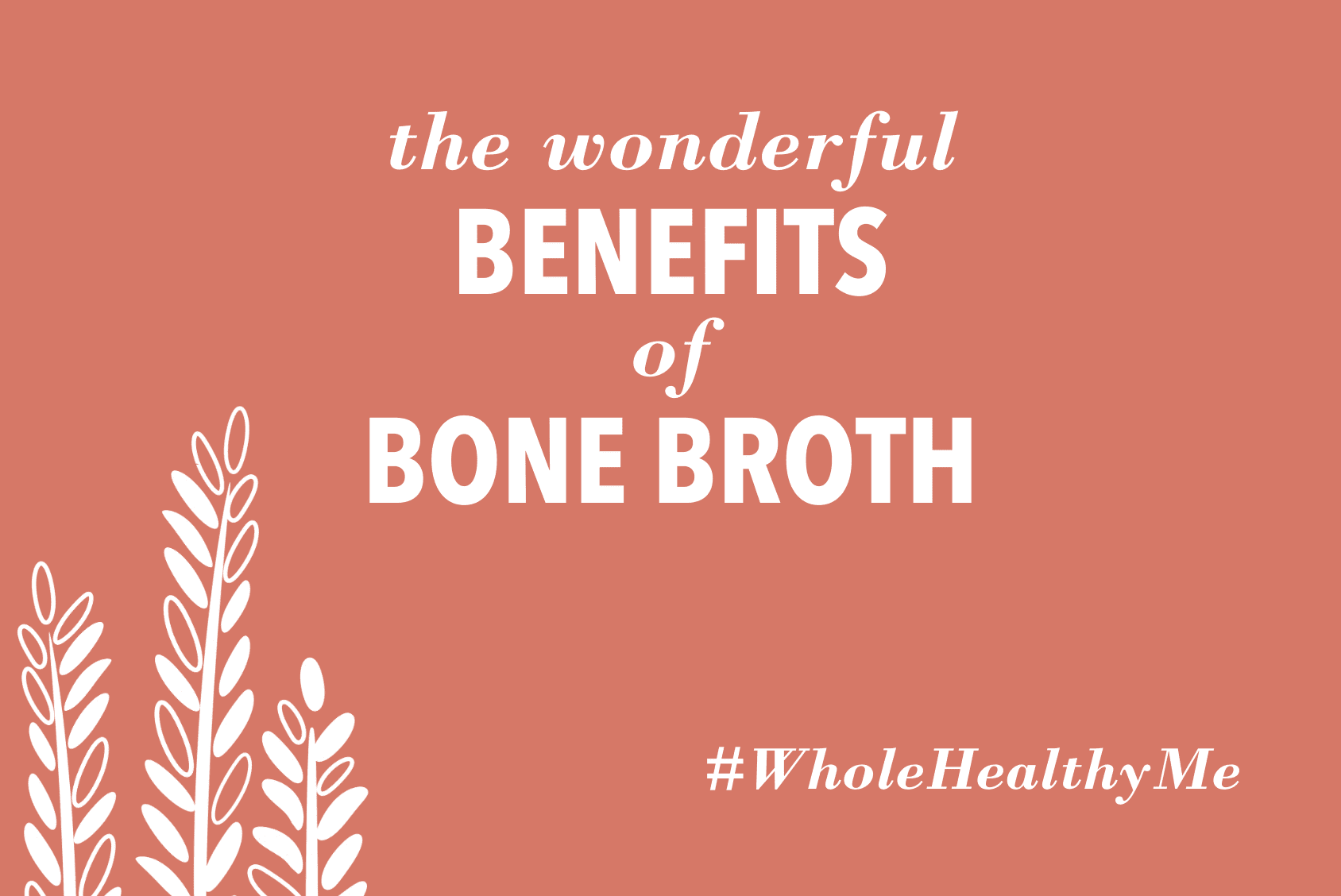 The Wonderful Benefits of Bone Broth | The Harvest Table