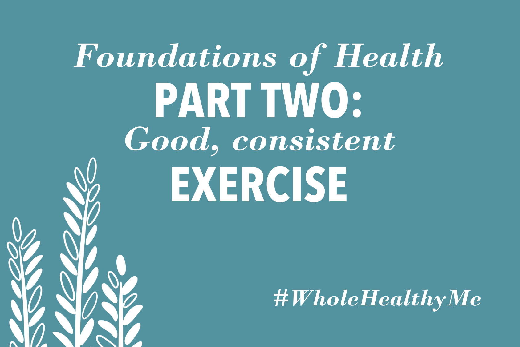 Foundations of Health - Exercise | The Harvest Table